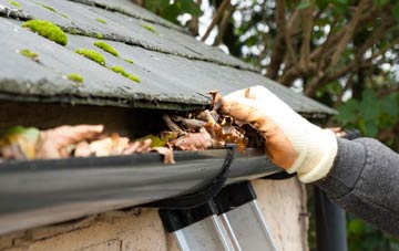 gutter cleaning Damems, West Yorkshire
