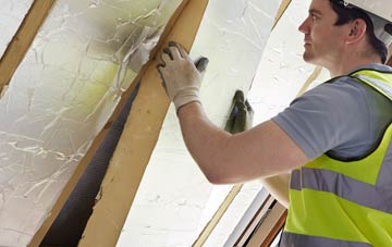 Damems loft insulation
