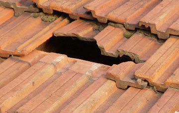 roof repair Damems, West Yorkshire